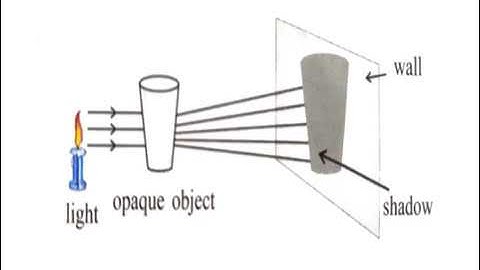 CLASS 5 SUBJECT E V S  SCIENCE CHAPTER 3 LECTURE 1 TERM 3