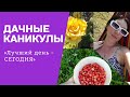 🍓 ДАЧНЫЕ КАНИКУЛЫ|РОДНЫЕ ПРОСТОРЫ