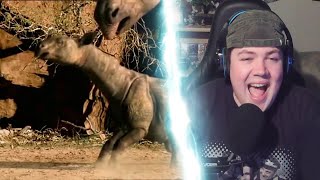 Die stinkenden Erben der Dinosaurier [YTK Doku]  Youtube Kacke | REAKTION