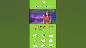 Nghệ An: 5 tàu cá cháy rụi thiệt hại hàng chục tỷ đồng | VTC16