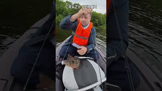 CRAZY PERCH