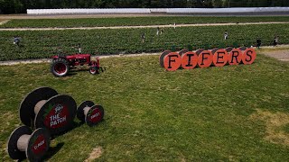Strawberry Season Is in Full Swing at Fifer’s Spring Fest