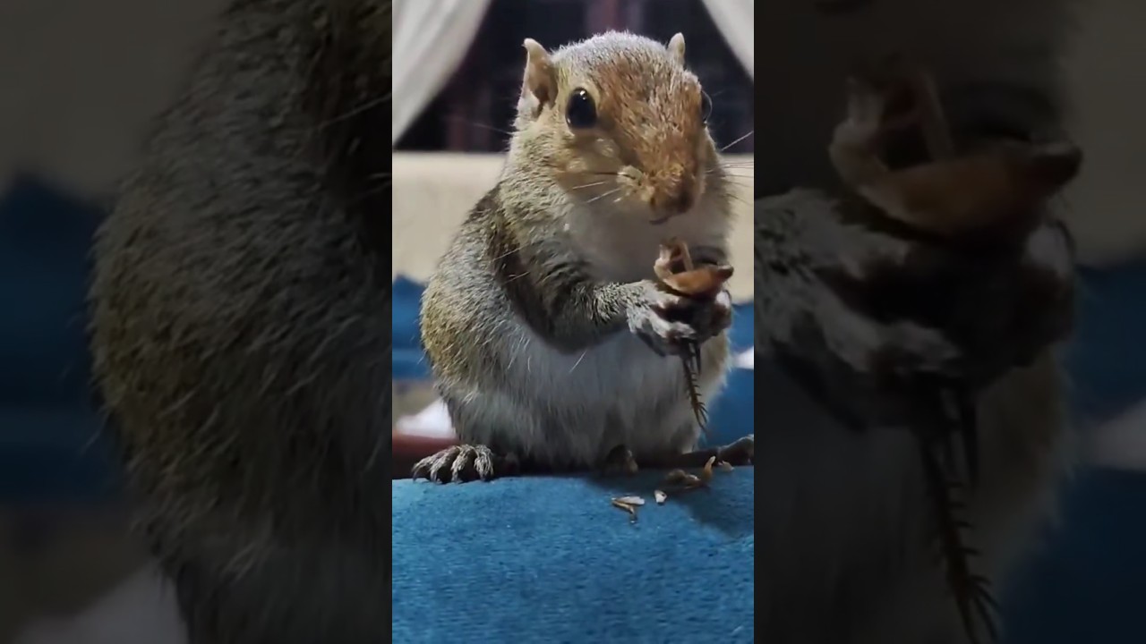 അവരുടെ കുറ്റം അല്ലായിരിക്കാം 😌😌 