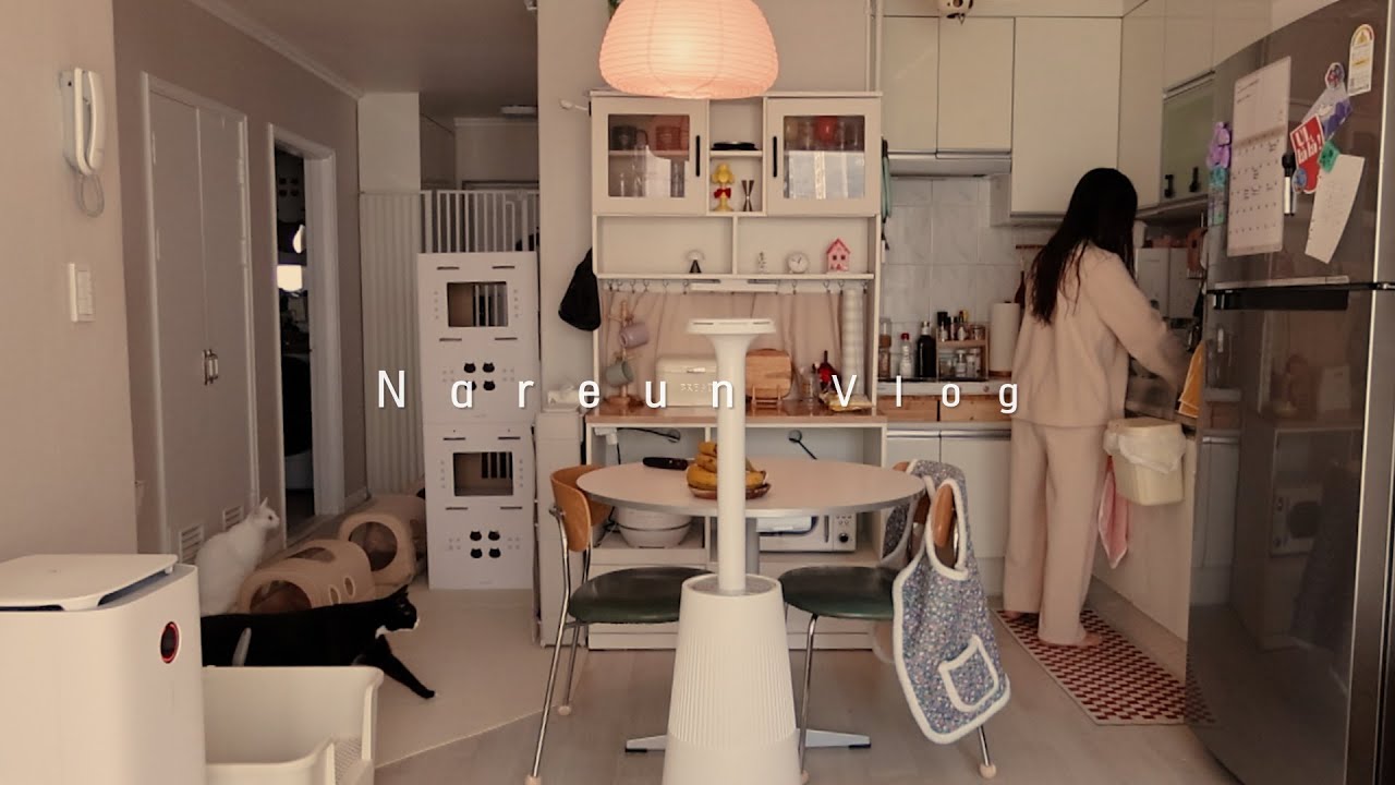 고양이와 자취 브이로그ㅣ다이소 쇼핑하고 공기청정기 필터교체하기. 과메기, 불닭볶음탕면, 불고기 퀘사디아, 스팸 김치찌개