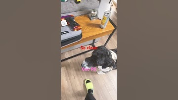 Planet Eclipse Geo R5 Rebellion Full review coming #paintball #planeteclipsepaintball #geor5