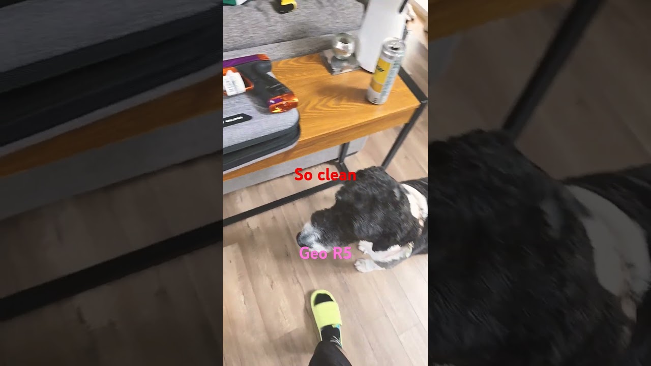 Planet Eclipse Geo R5 Rebellion Full review coming 