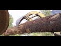 Canadian Timberframes Yard