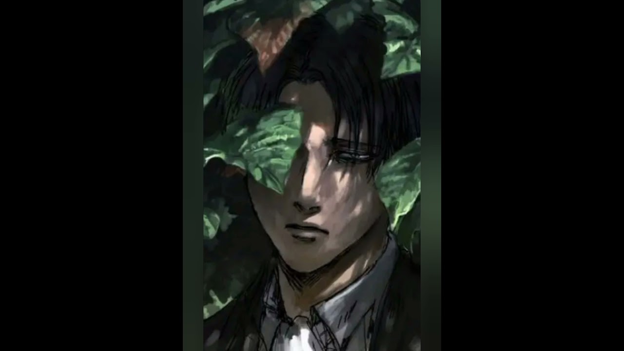 Ты даже сама не представляла что влюбишься в Леви Акерман.