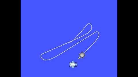 Turtlesim Catch and catch ROS2