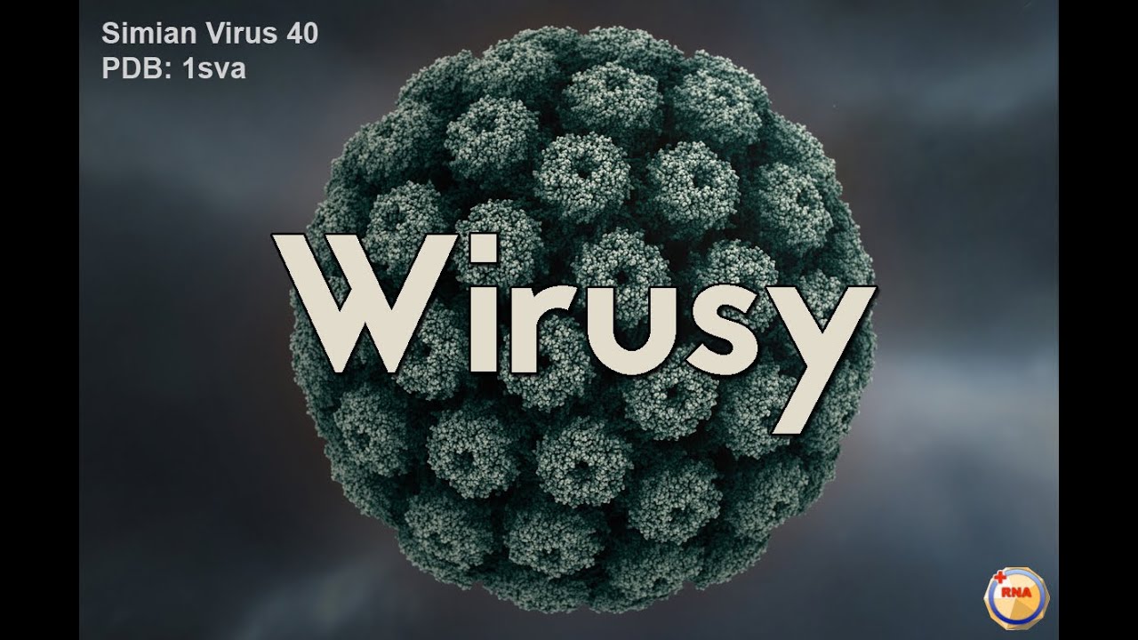 wirusy-youtube