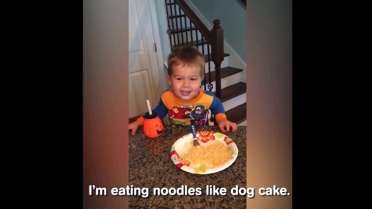 *Try Not To Laugh Challenge* Funny Vines Compilation 2019 ★ Animal, Kids Fails; FUN Guaranteed ...