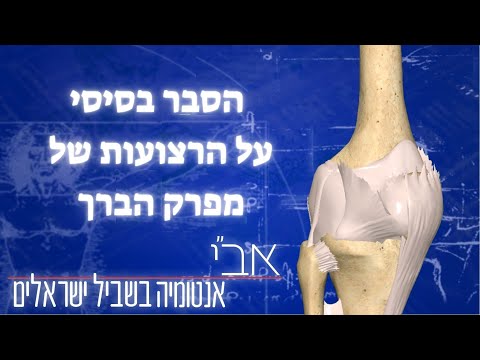 וִידֵאוֹ: איפה רצועות בברך?