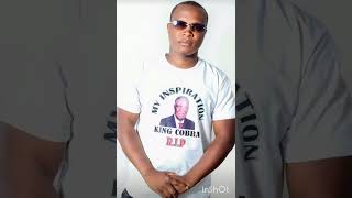 Download Lagu Inspired by King Cobra (SATA) MP3