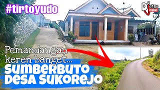 Blusukan Ke Dusun Sumberbuto Sukoanyar Desa Sukorejo, Tirtoyudo || Djarno Channel