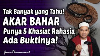 Terkenal Tuahnya, Ini 5 Khasiat Akar Bahar yang Tak Banyak Orang Tahu!