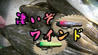 マゴチ編 意見が割れるルアーの色 ワームを例に選び方をまとめたよ マゴチ編 意見が割れるルアーの色 ワームを例に選び方をまとめたよ