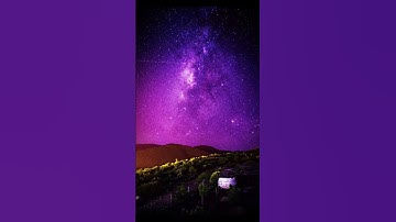 سورة الحجرات - ماهر المعيقلي