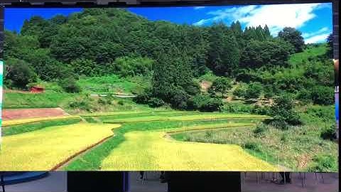 Future Development trends of LED Display Video Screens