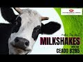 Benefits of Ceado B285 Blender