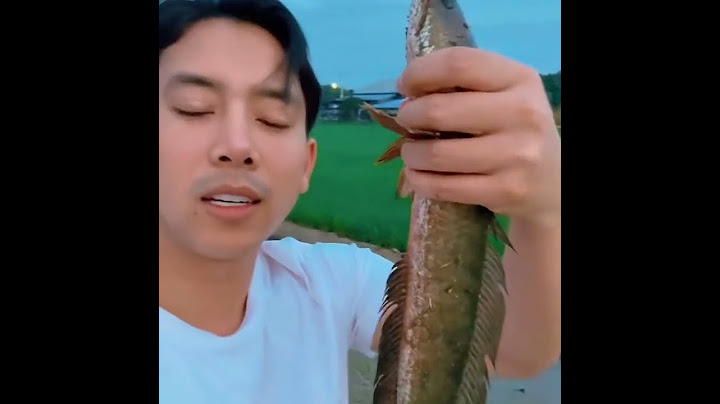 เมื่อเบิ้ลปทุมราชเจอปลาช่อนระหว่างทางไปทำงาน