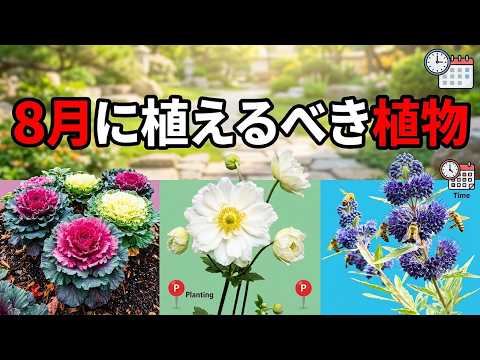 9月に植えるべき球根7選で春の庭を華やかに