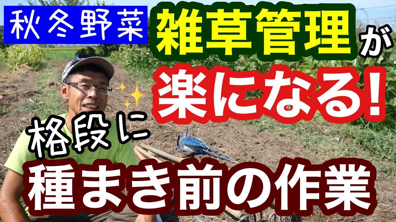 【雑草対策】ビニールマルチ･除草剤無しで雑草が生えにくく管理が楽になる種蒔き前の作業と道具の紹介《無農薬/除草/自然農》