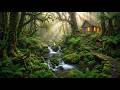 🍀 Beautiful Soothing Music ✨ Deep Relaxation, Healing & Inner Peace