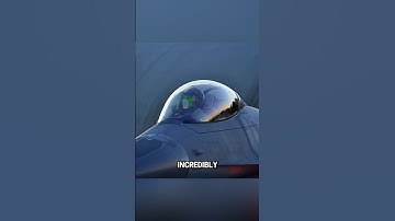 Hoe een straalvliegtuig een vogelaanvaring overleeft 😱