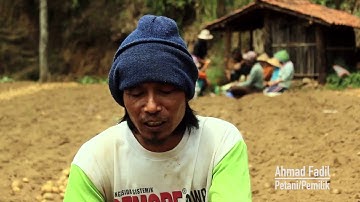 Pesona Desa Sigedang, Kaki Gunung Sindoro