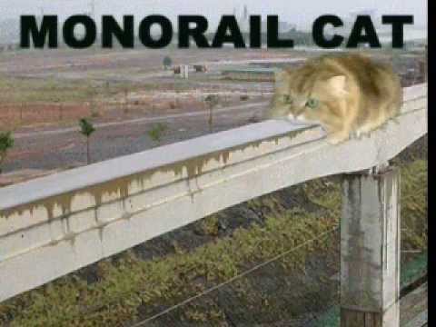 lots-of-monorail-cats