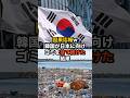 ㊗️100万再生！因果応報w韓国が日本に向けゴミを捨て続けた結果 #海外の反応