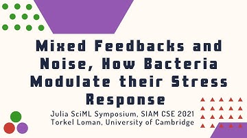 Mixed Feedbacks and Noise, How Bacteria Modulate their Stress Response - Torkel Loman