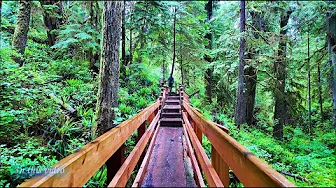 TOFINO Vancouver Island British Columbia Canada | 4K Tofino Beaches and Rainforest