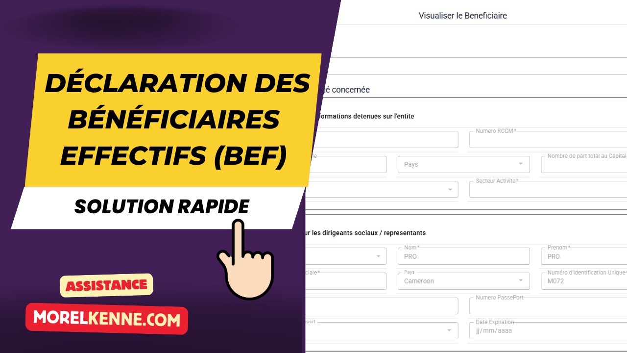 Gérer la déclaration des bénéficiaires effectifs BEF rapidement - YouTube