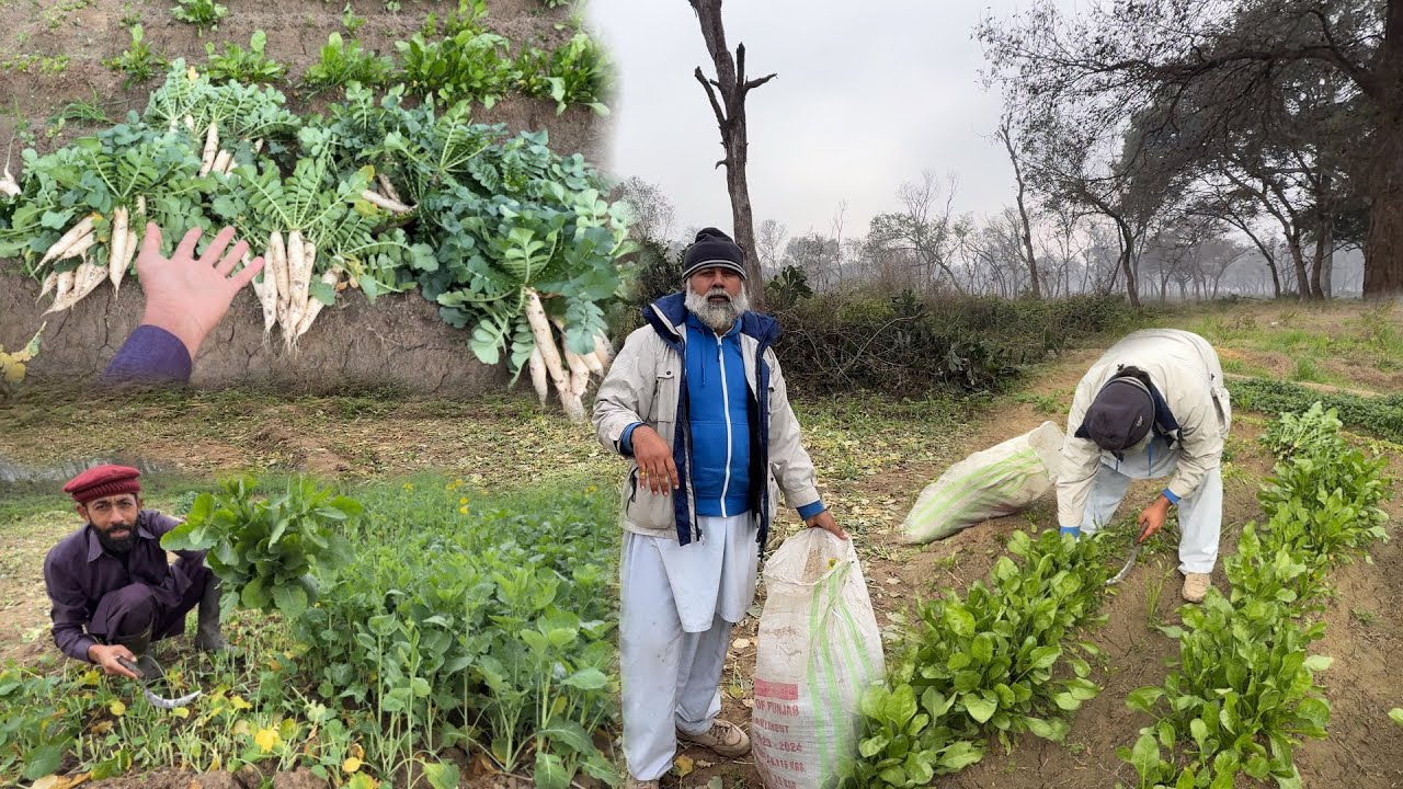 Bhai Mubarak Khush Ho Gaye🥰😍 | Azmat | Allhamdulilah New Sabzi Bhi Tayar Ho Gai😍😇