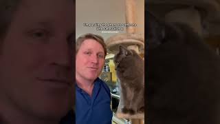 Passing the Phone - Cat Edition by Alecanewman 1,763 views 4 months ago 1 minute, 1 second