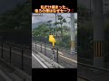 私だけ捕まった…後ろの車はなぜセーフ？