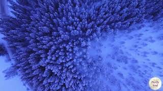 Download Lagu Crises of Slandering as Fasad: Quranic and Sunnatic Solutions for the 21 Century MP3