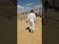 جمرك السلوم تهريب البضائع من مدينة مساعد الي السلوم