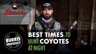 Best Times to Hunt Coyotes At Night