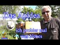 Apidea mit zweitschlupfzelle beweiseln imkerei und bienen 2021