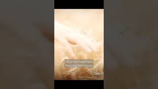 main banda-e-aasi hun | heart