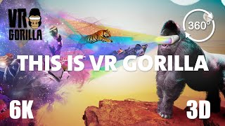 This is VR Gorilla - Best Of VR &amp; 360 Compilation 2015/2020 - 6K 360 3D Video