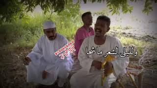 النصري قلبا لي عنيد يا عابره