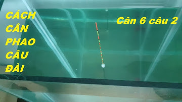 Kinh nghiệm câu đài cơ bản – Cách cân phao câu đài tự nhiên dịch vụ