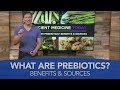 What are prebiotics  benefits and sources