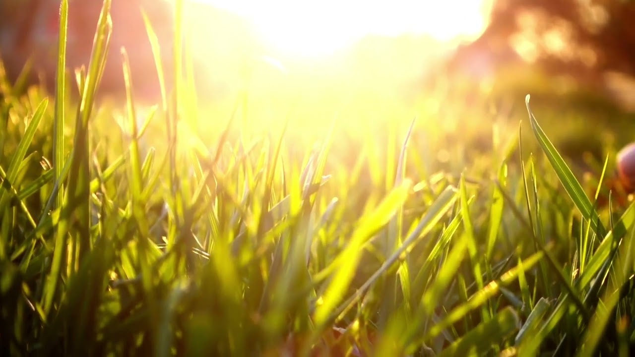 Promessas: provisão que traz tranquilidade 