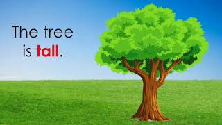 A Tree My Size - Mighty Minutes 49   SD 480p
