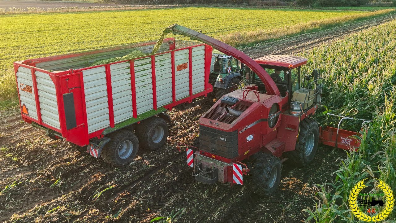 Ein Case IH CHX 620 Feldhäcksler in der Maisernte | Fendt | Massey Fergusson | Kaweco | Fliegl