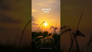 Cinematic video with Sony ZVE10 #shortsfeed #photography #zve10 #camera #sony #cinematic #filmlook